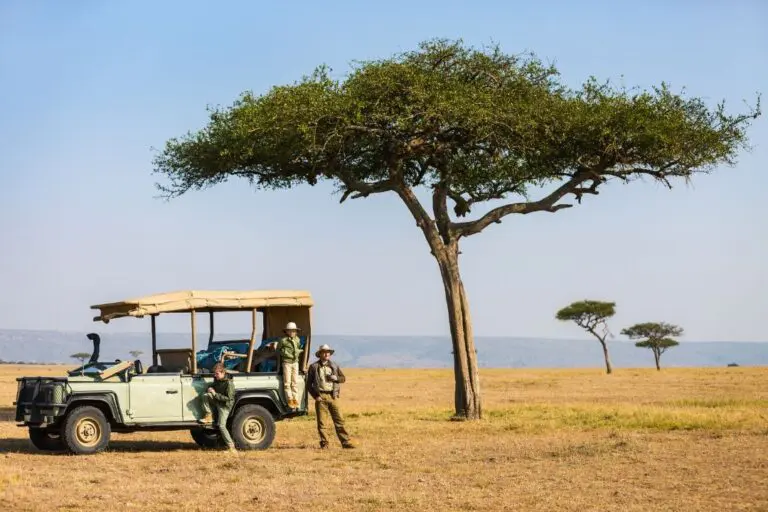 people on safari with a jeep under an acacia tree