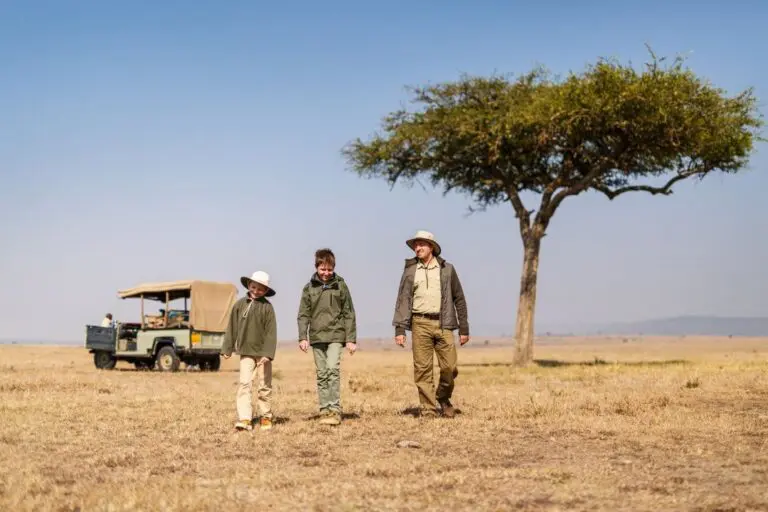 family walking on safari with jeep and acacia tree