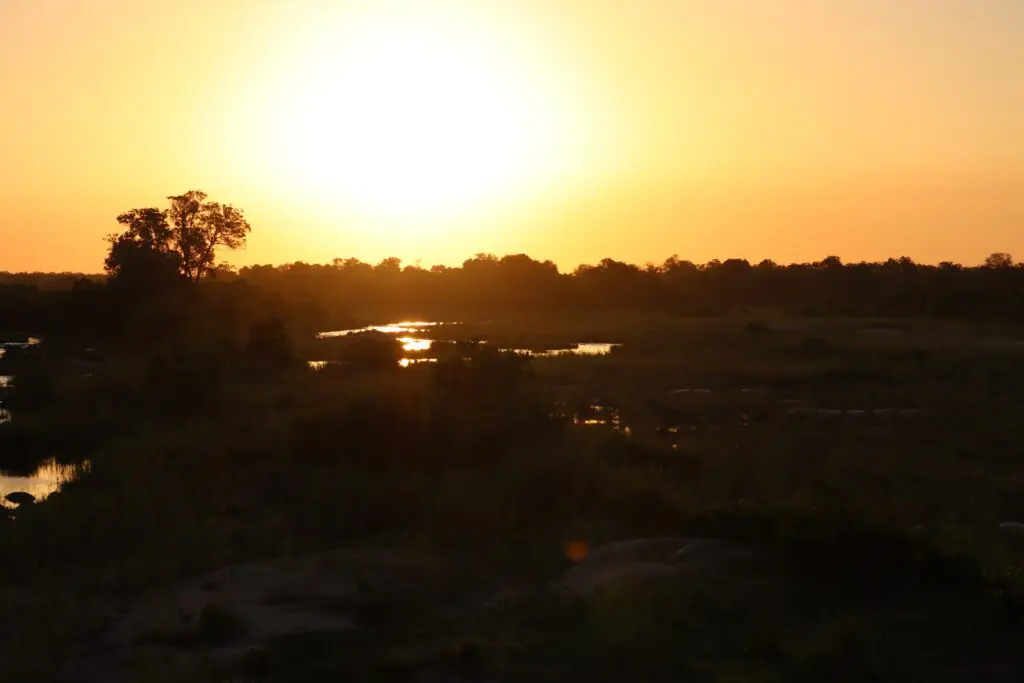 golden hour sunset over a river and bushveld in Kruger National Park