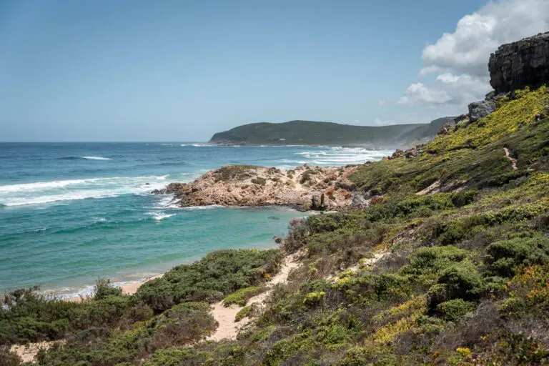 coastal landscape with turquoise ocean and green hills