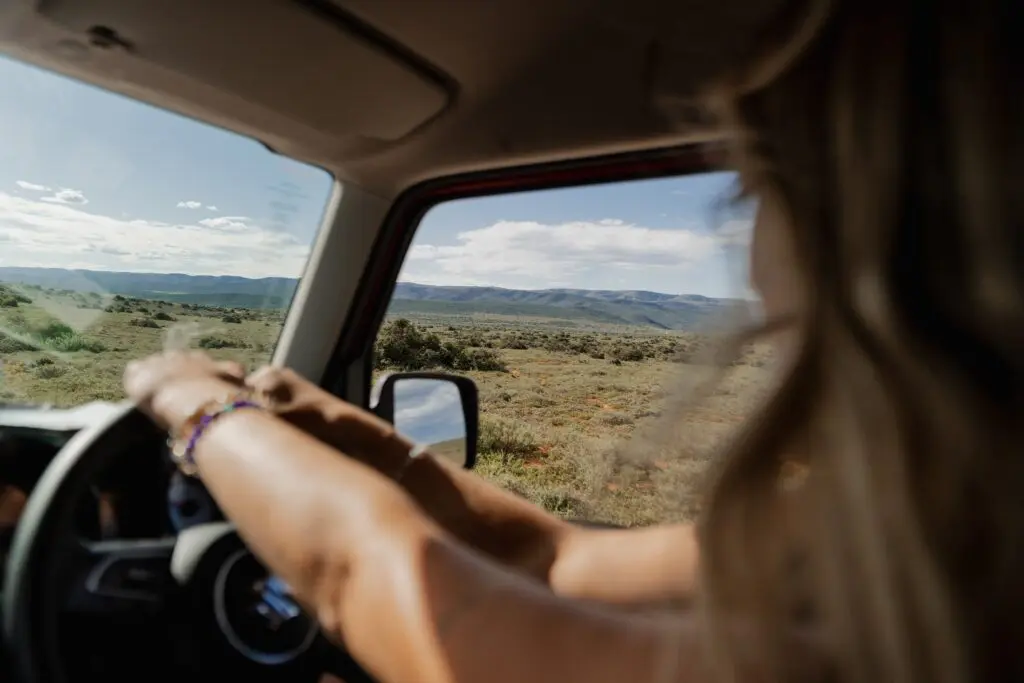 person driving a car through a vast, arid landscape