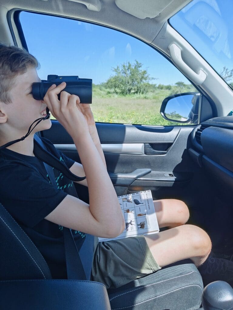 young boy looking through binoculars on a safari drive