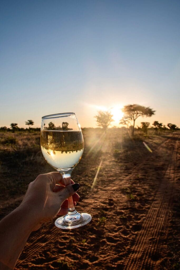 hand holding wine glass at sunset in Namibia